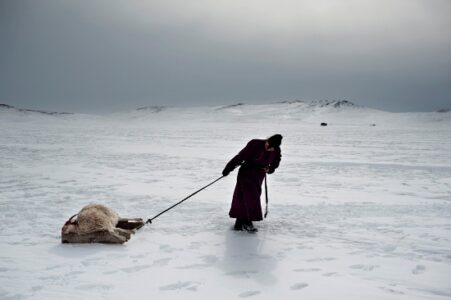 Blood, Slums, and Snow Image